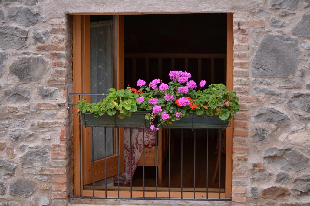 Cà di Minù Tarzo Quarto foto