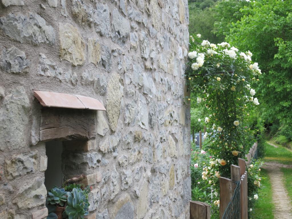 Cà di Minù Tarzo Quarto foto
