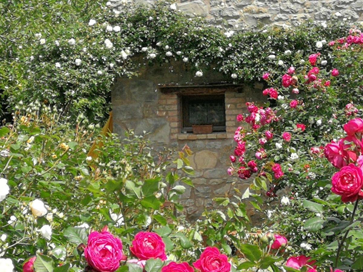 Cà di Minù Tarzo Exterior foto