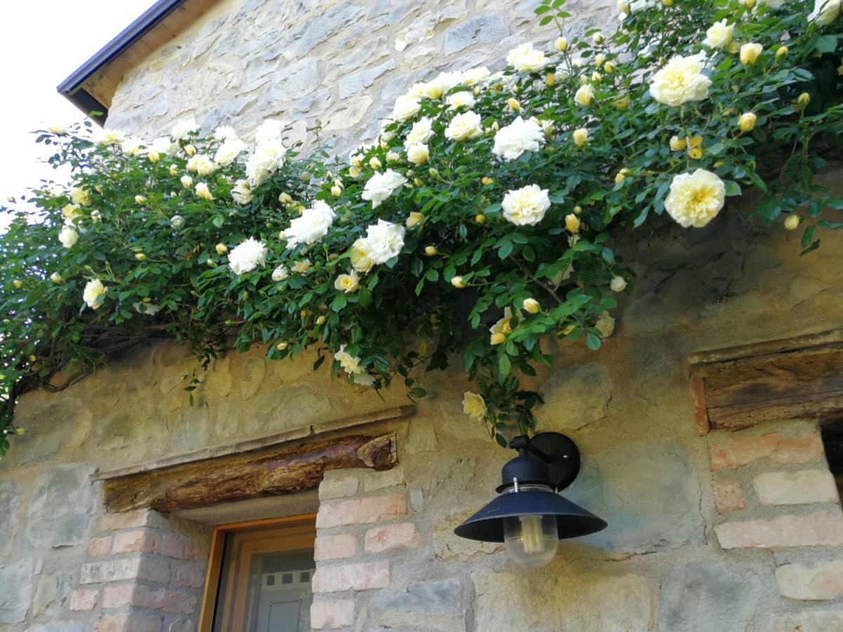 Cà di Minù Tarzo Exterior foto